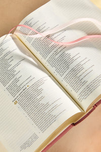 CSB Notetaking Bible | Rosedal Theme