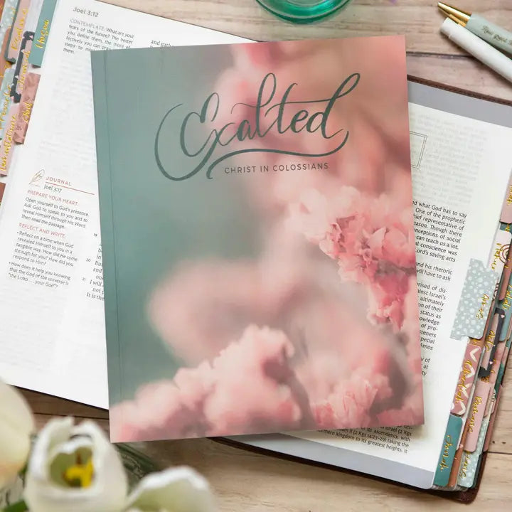 Exalted | Christ in Colossians