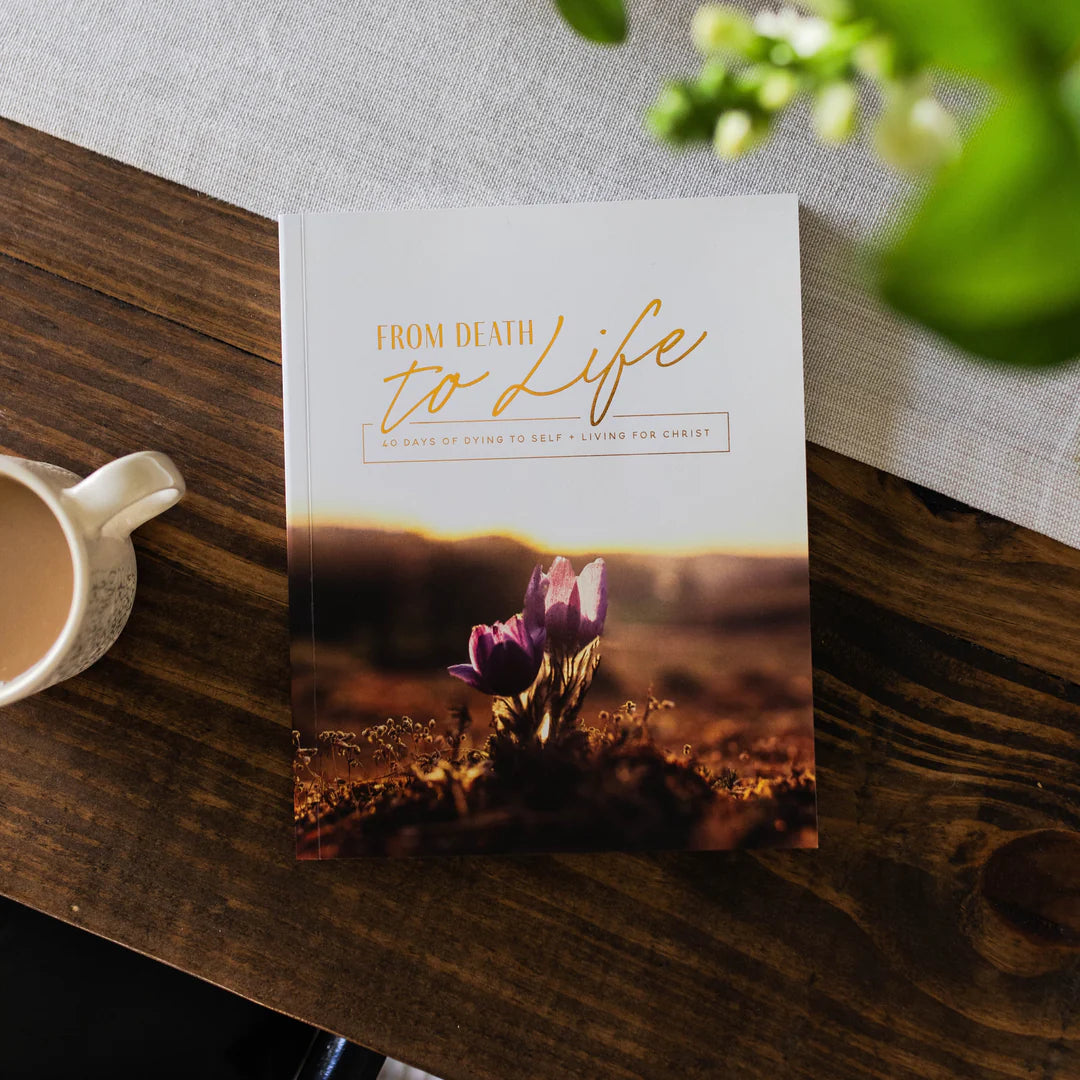 From Death To Life | Bible Study