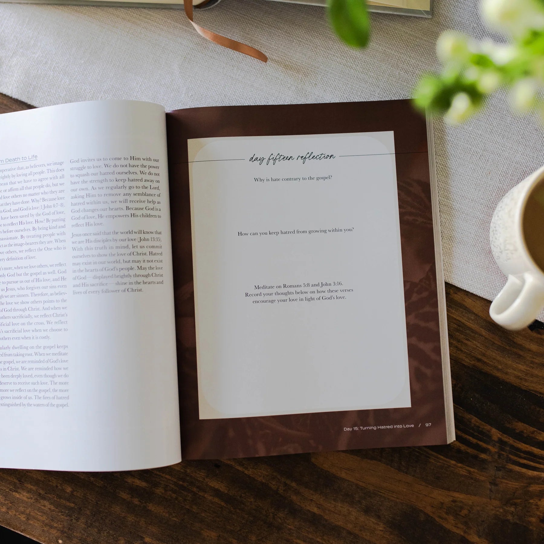 From Death To Life | Bible Study