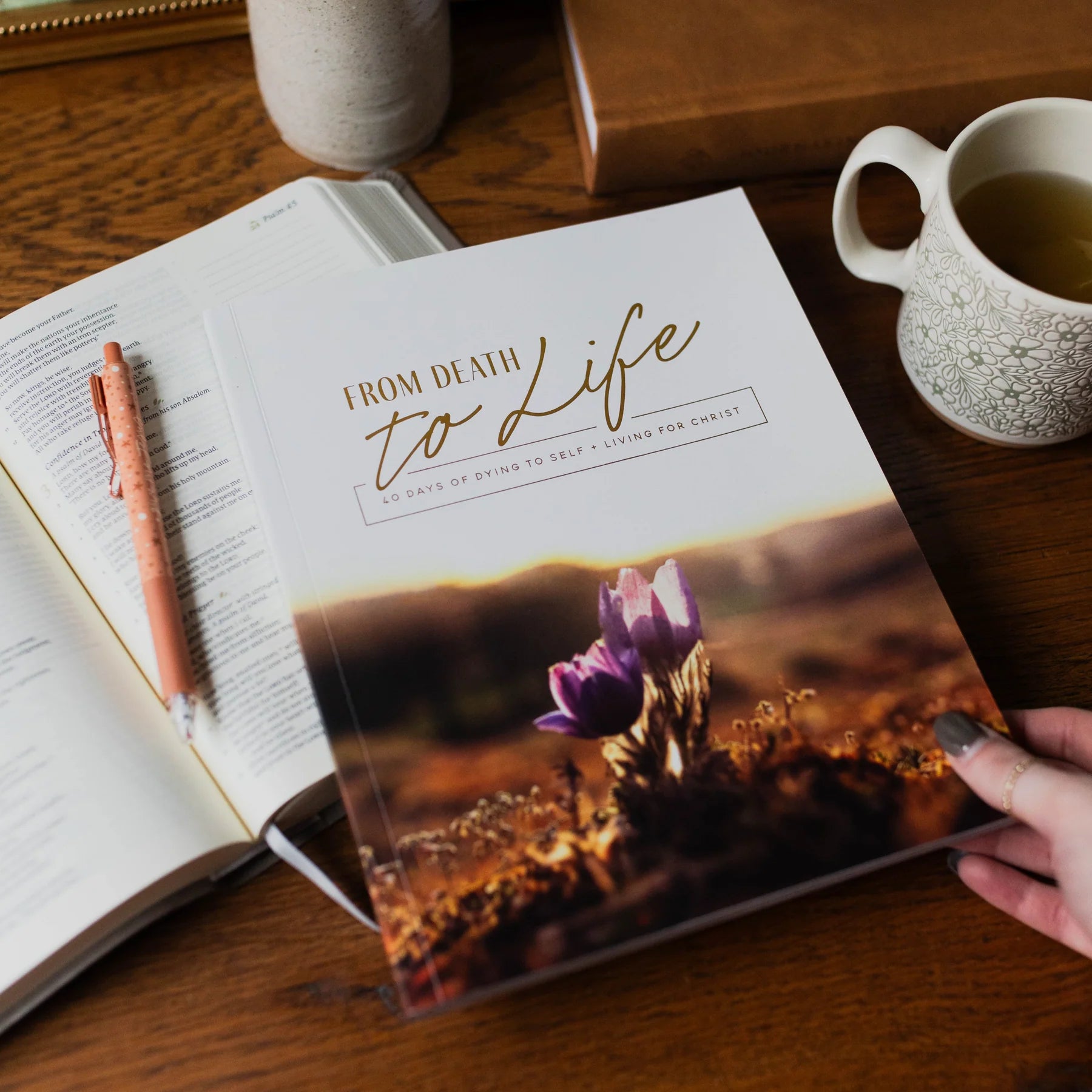 From Death To Life | Bible Study