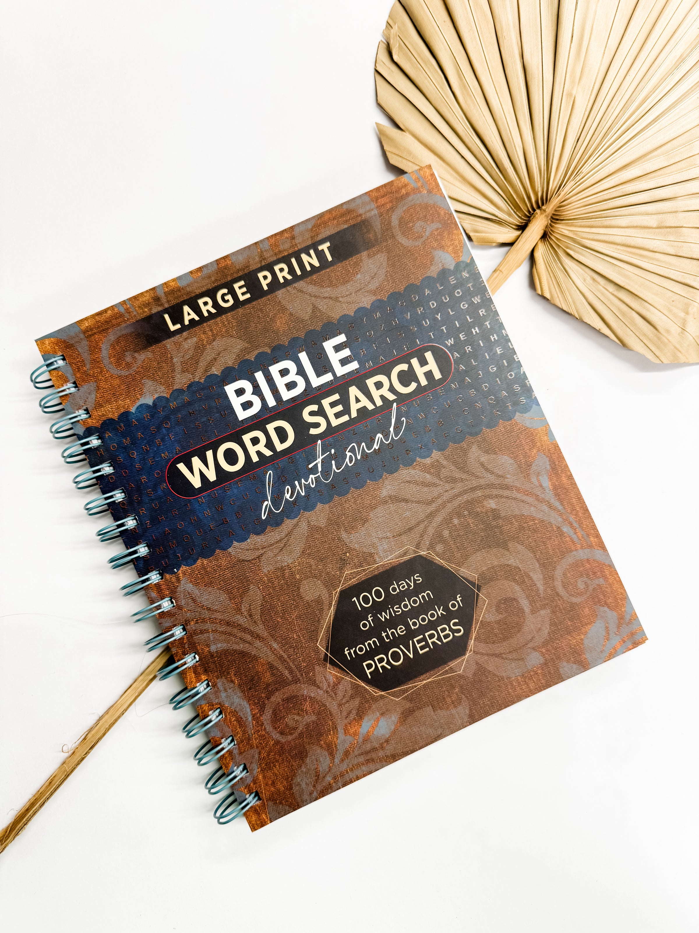 Proverbs | Bible Word Search Devotional