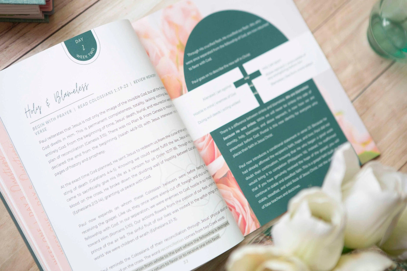 Exalted | Christ in Colossians