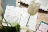 Exalted | Christ in Colossians