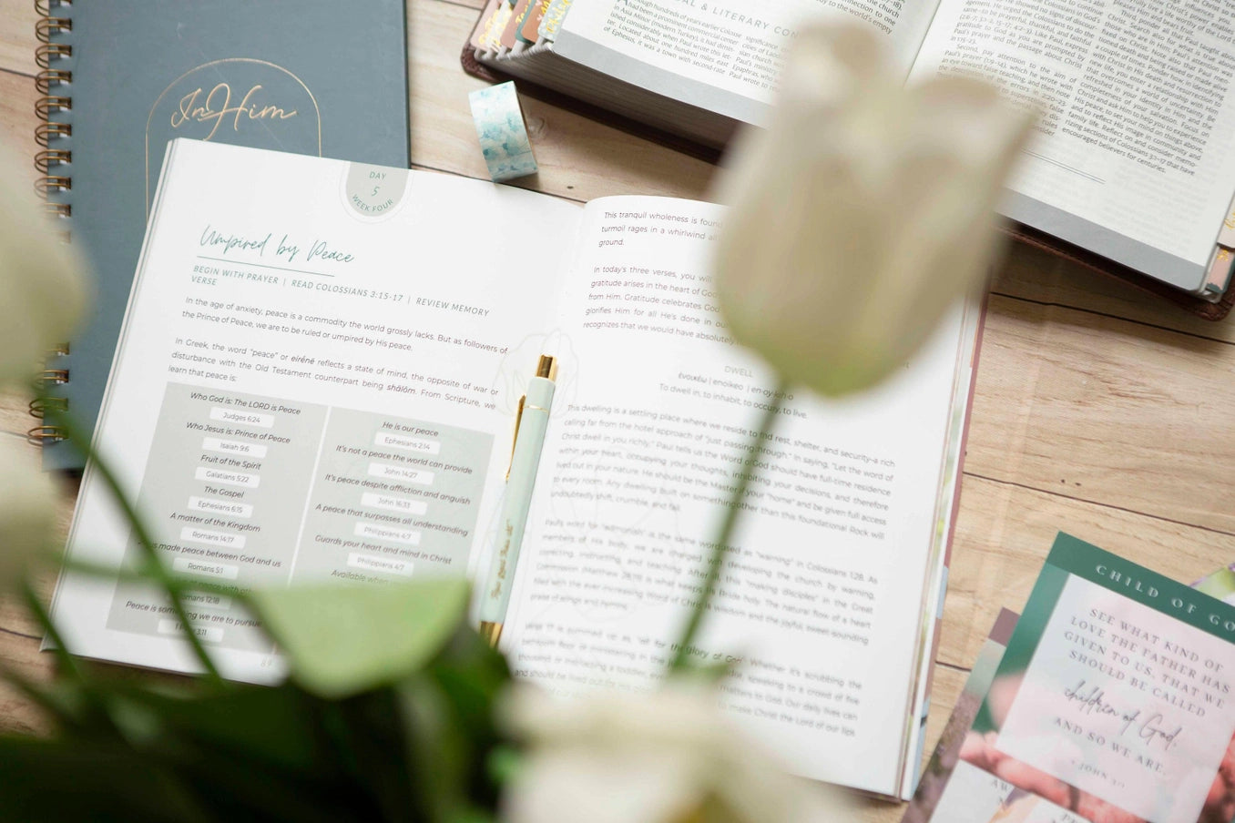 Exalted | Christ in Colossians