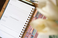 In Him | Guided Prayer Journal