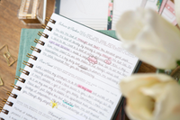 In Him | Guided Prayer Journal