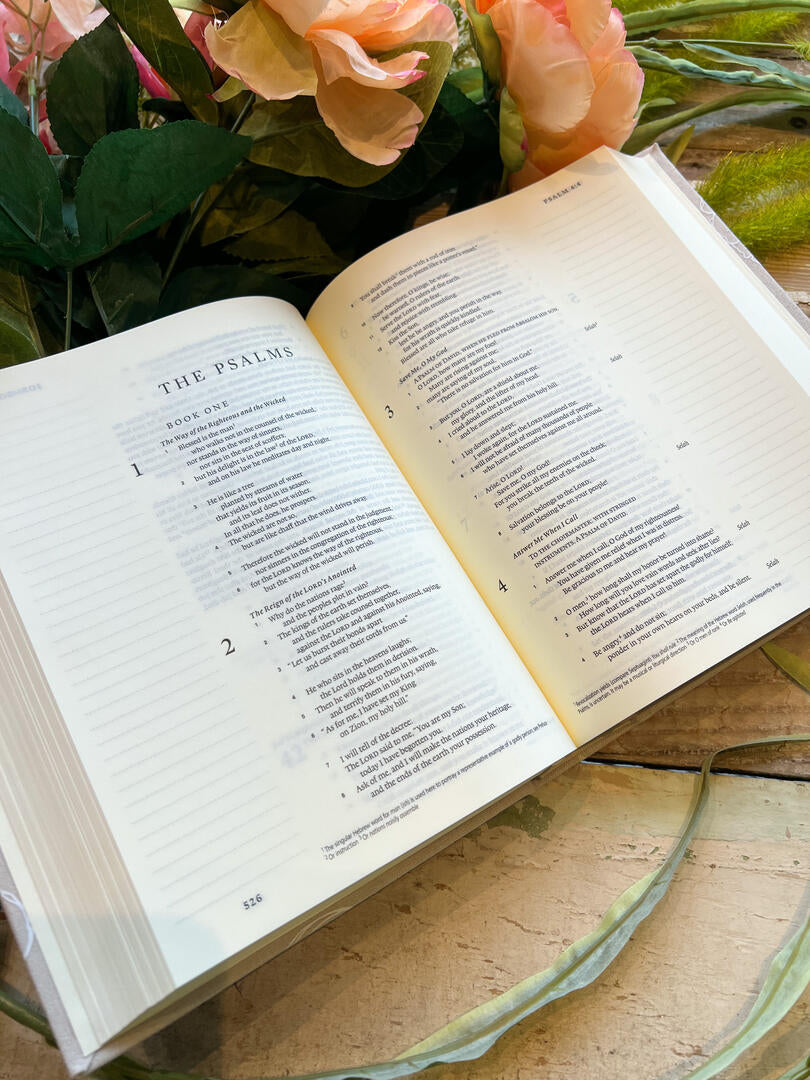 ESV Journaling Bible | Cordova Theme
