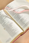 CSB Notetaking Bible | Rosedal Theme
