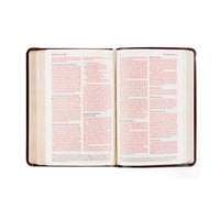 NLT Compact Bible | Yorkshire Theme