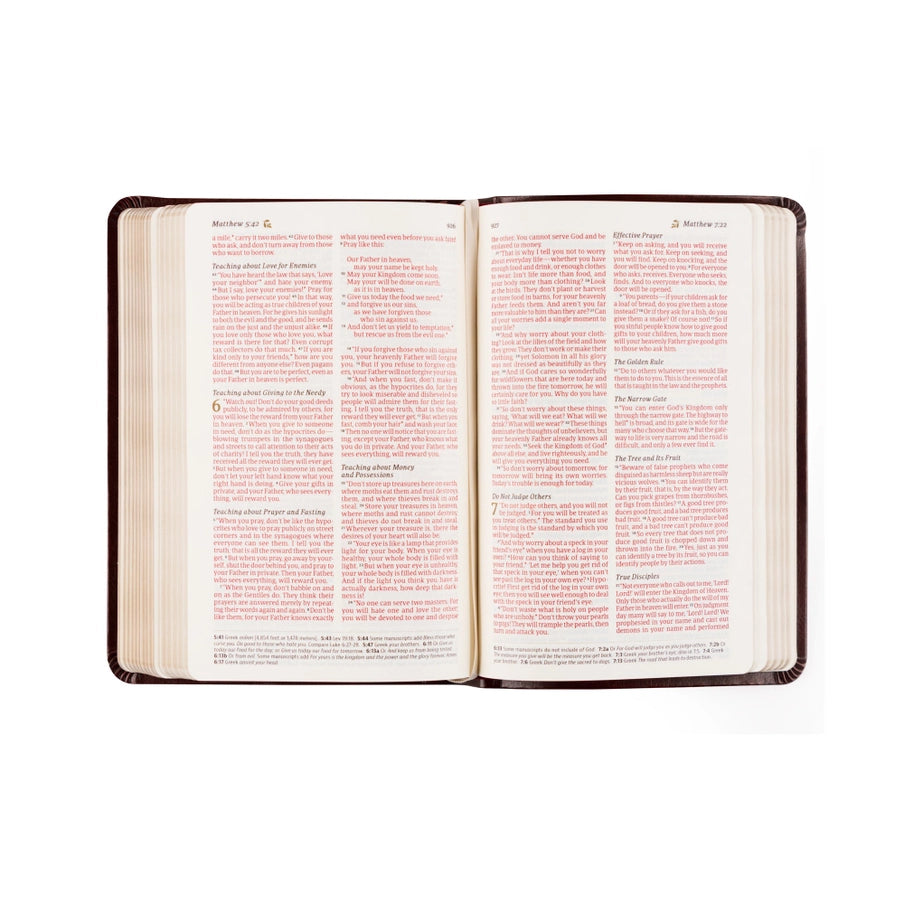 NLT Compact Bible | Yorkshire Theme