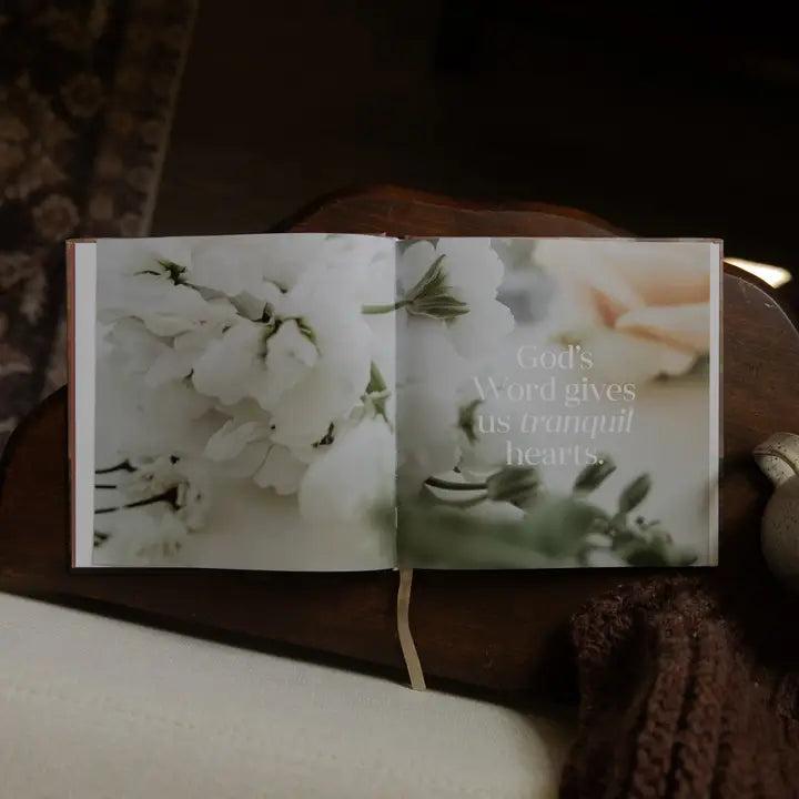 Satisfied | A 60-Day Devotional