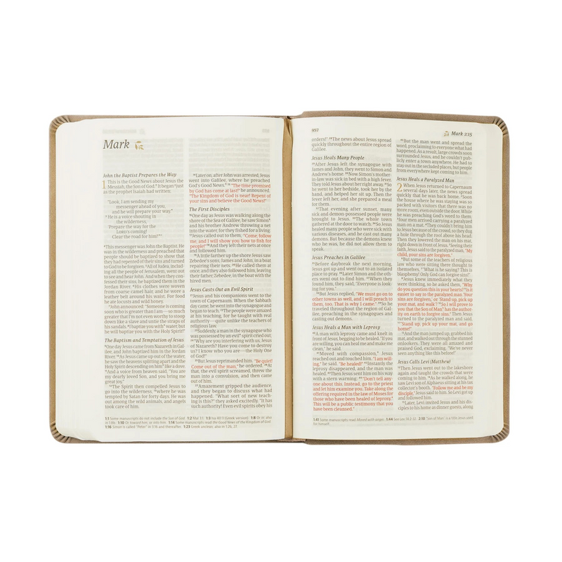 NLT Compact Bible | Marlo Theme