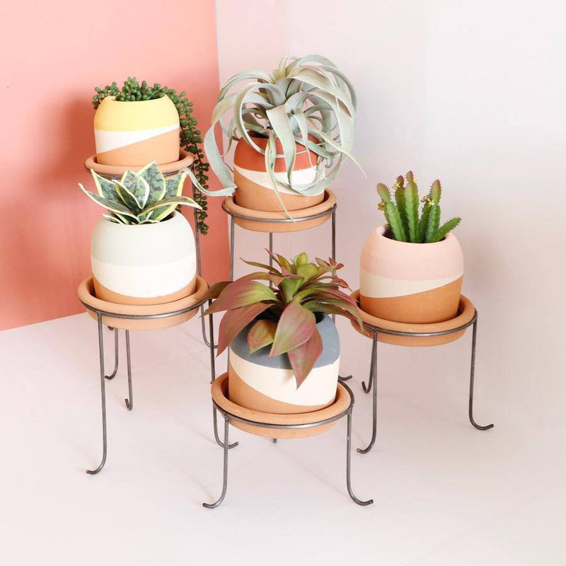 Color Dipped Pot + Base