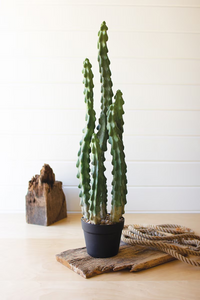 Tall Artificial Cactus