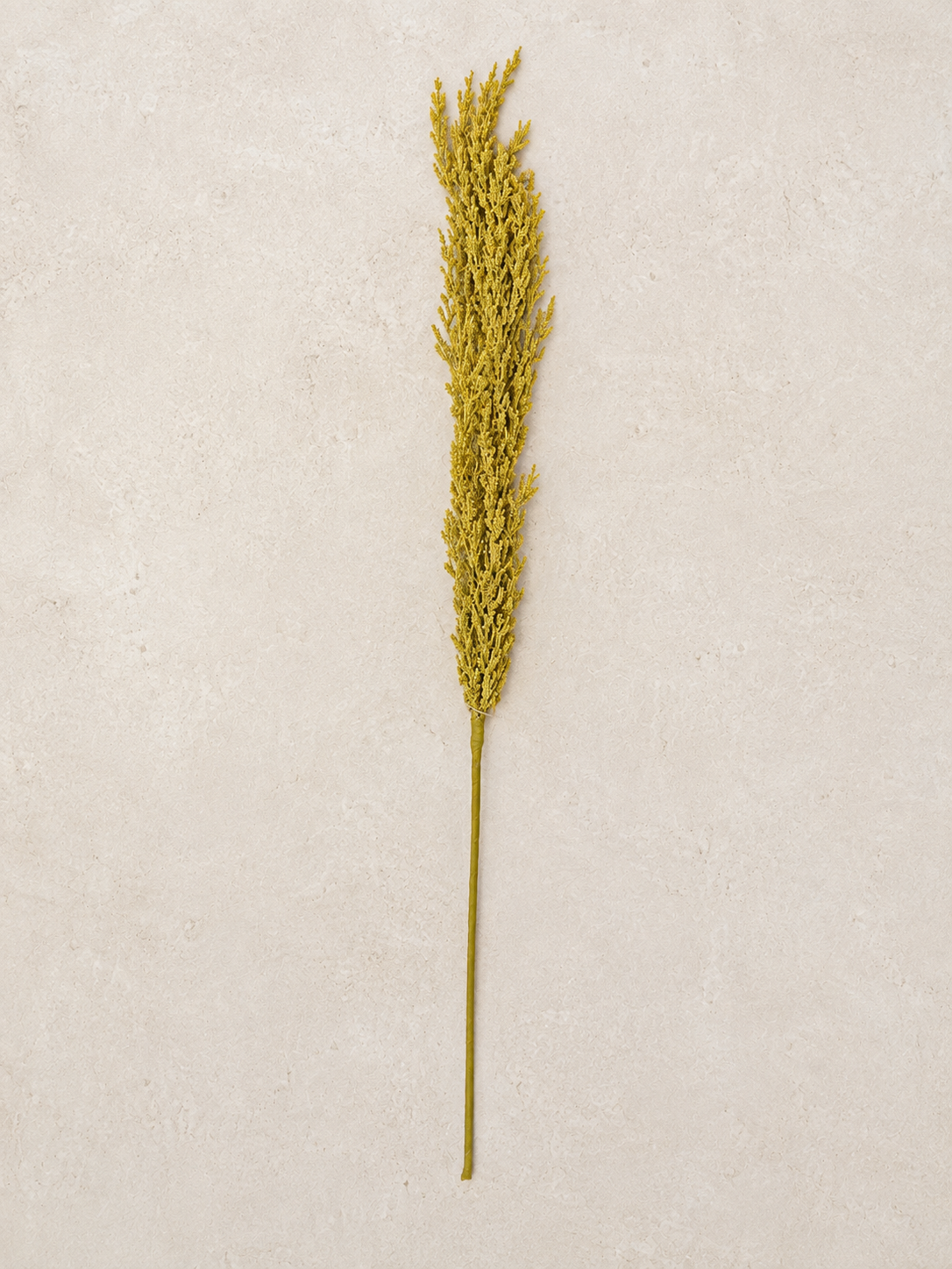 Pampass Grass Floral Pick