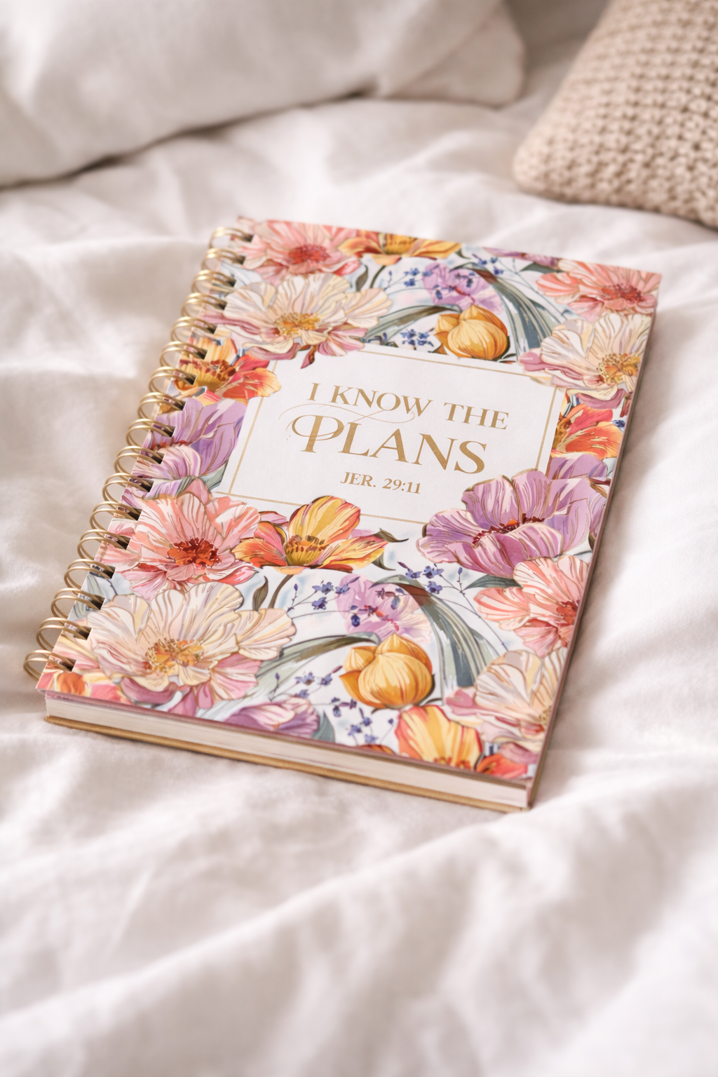 I Know the Plans Journal