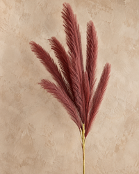 Faux Reed Burgundy Plume