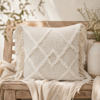 Liora Fringe Pillow