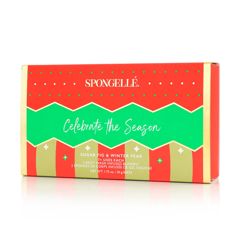 Celebrate The Season Ornament Gift Set