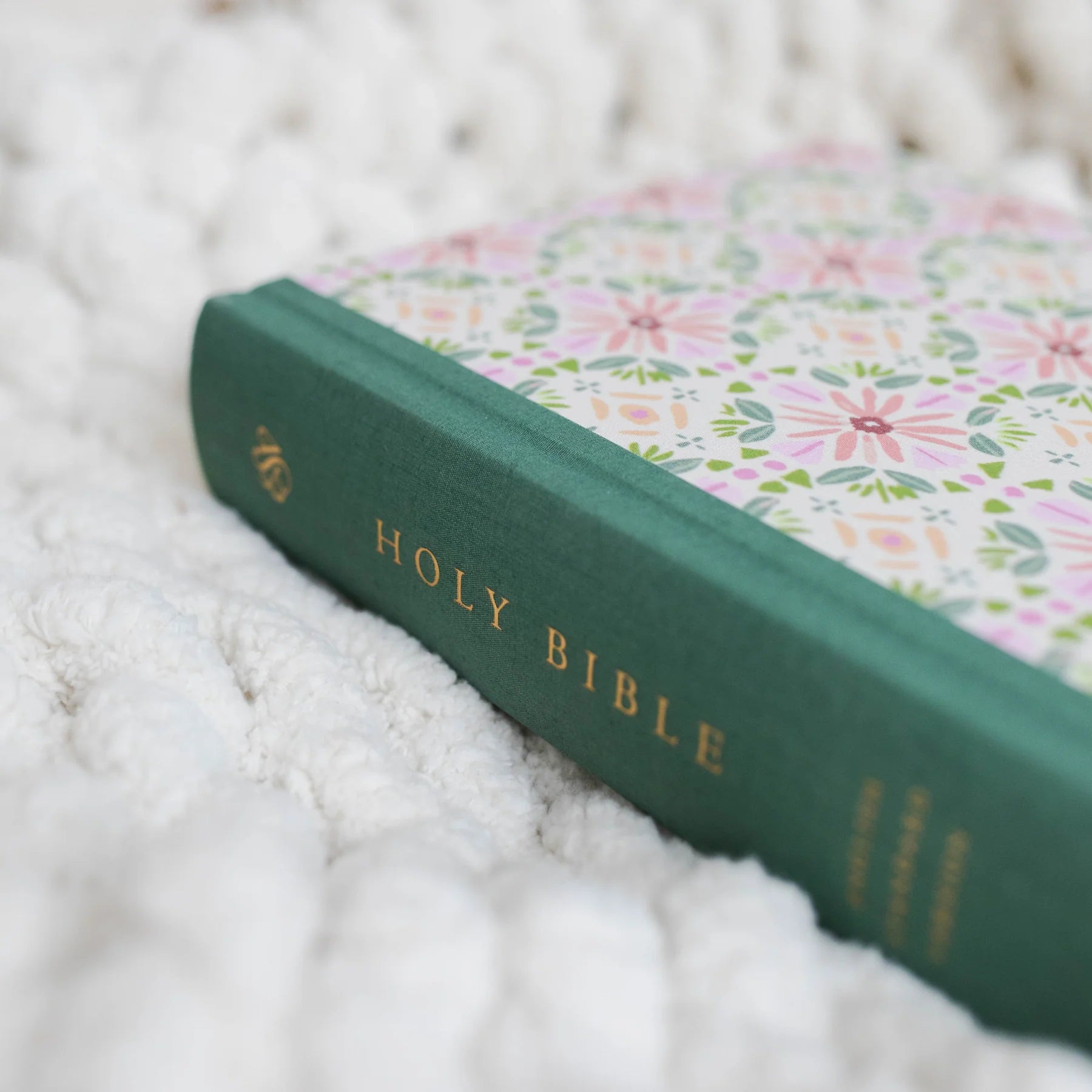 Wallace ESV Journaling Bible