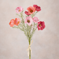 Peach Pink Cosmos Bouquet
