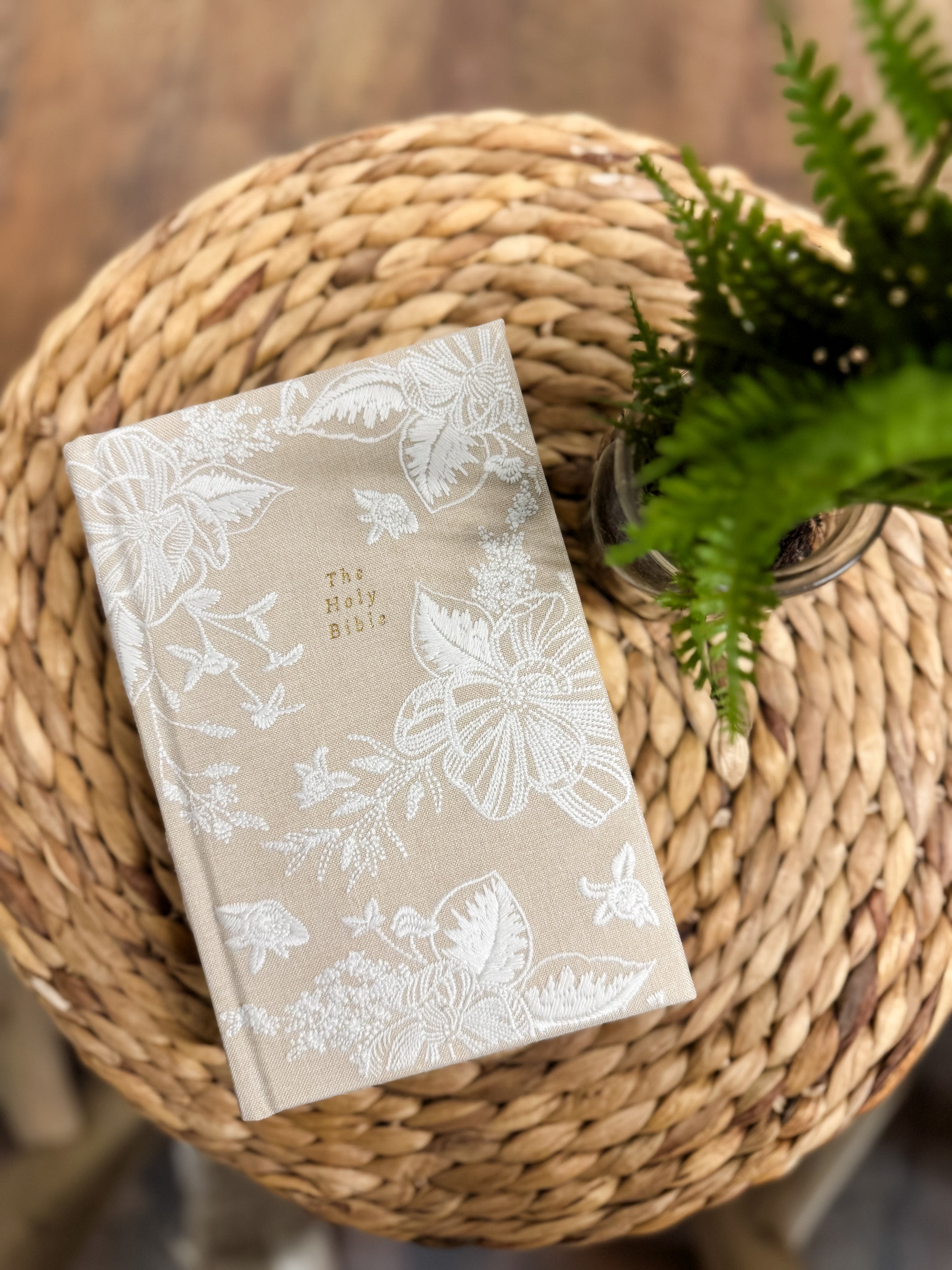 NLT Compact Bible: Casablanca Theme