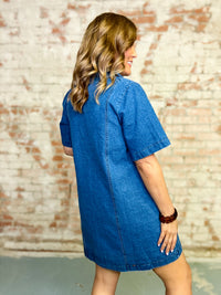 Vera Denim Dress