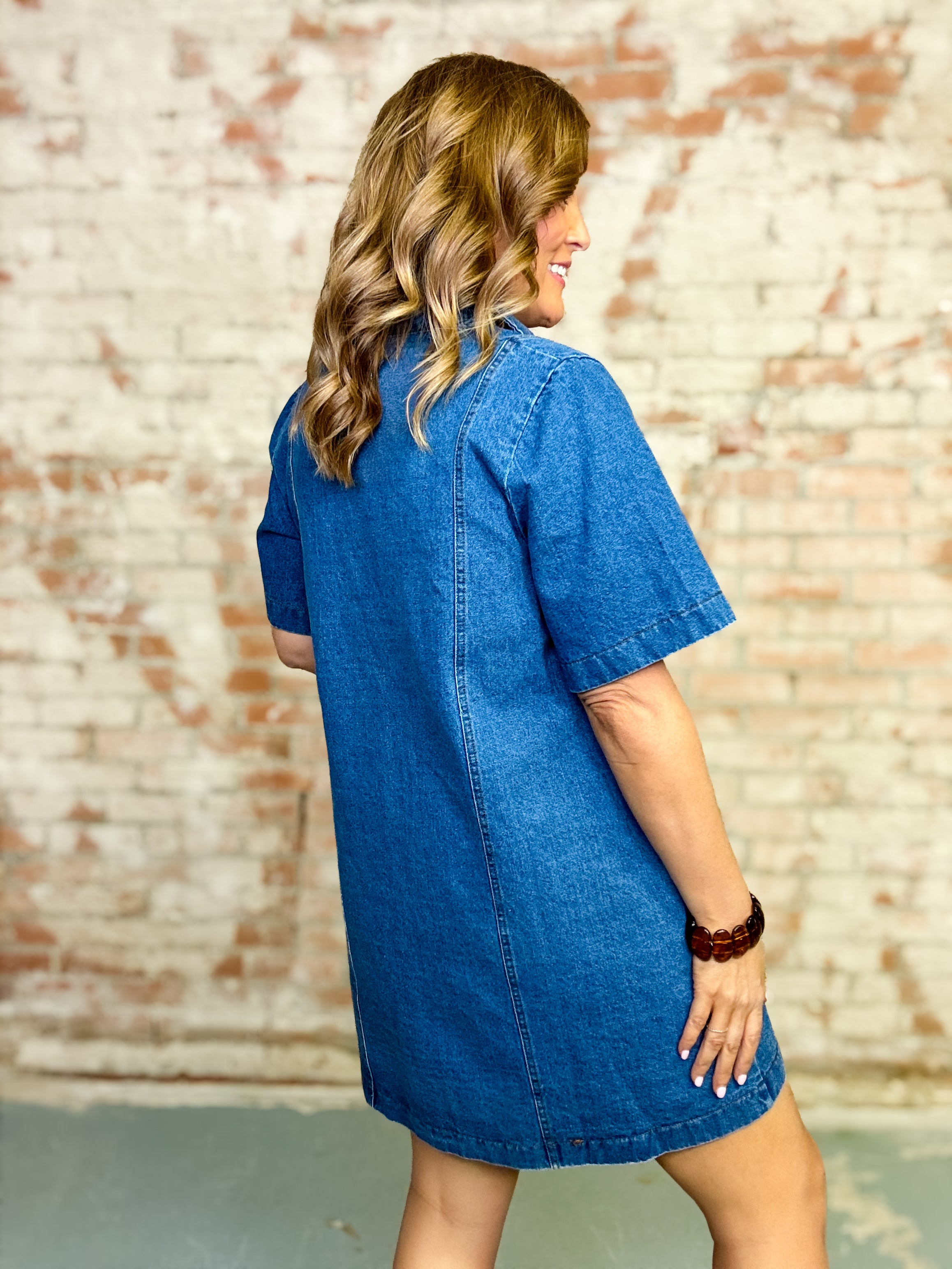 Vera Denim Dress