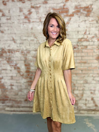 Marigold Pleated Suede Dress