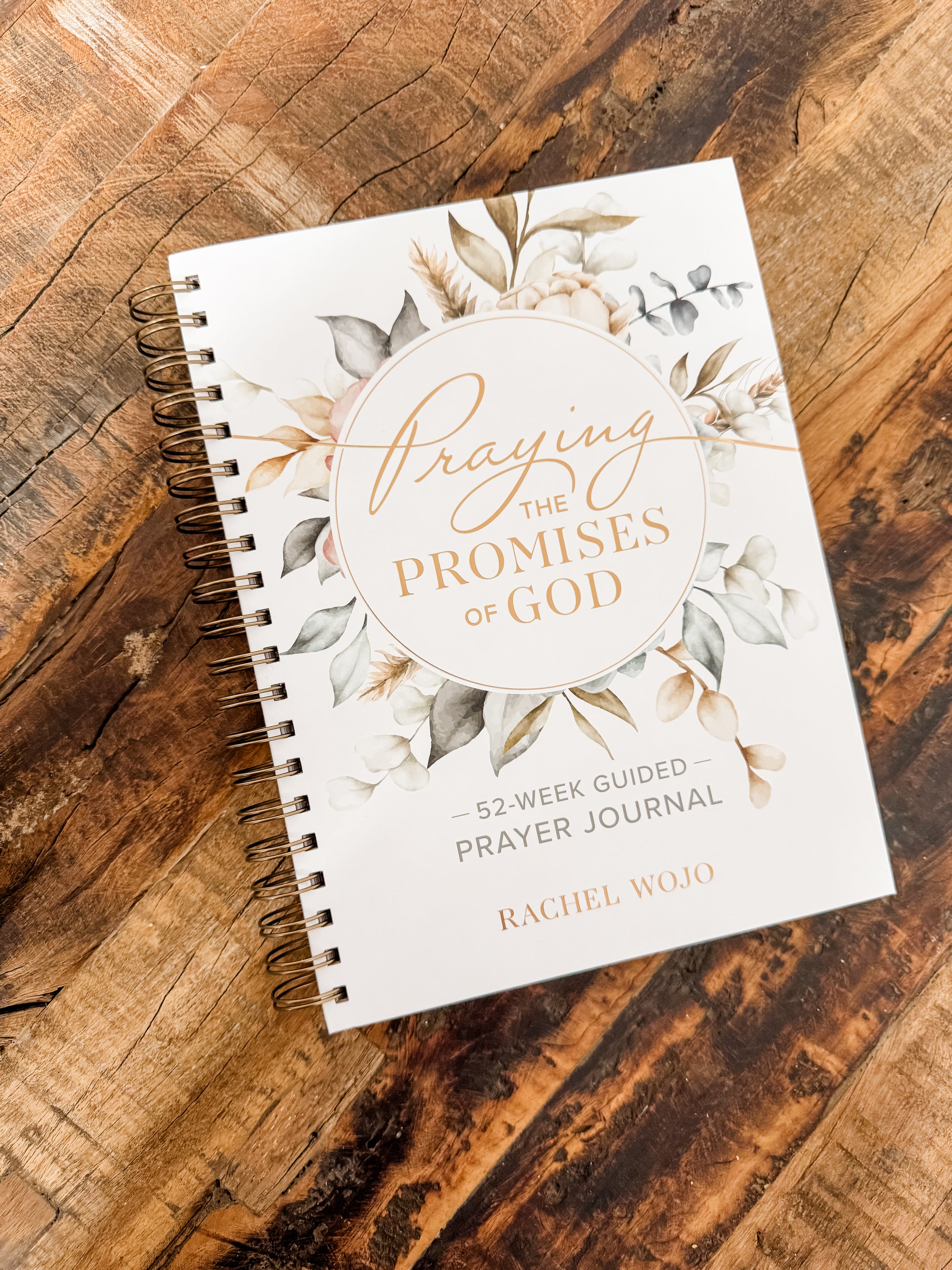 Praying The Promises of God