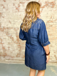 Remy Solid Denim Dress