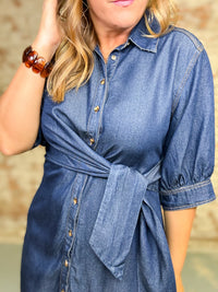 Remy Solid Denim Dress