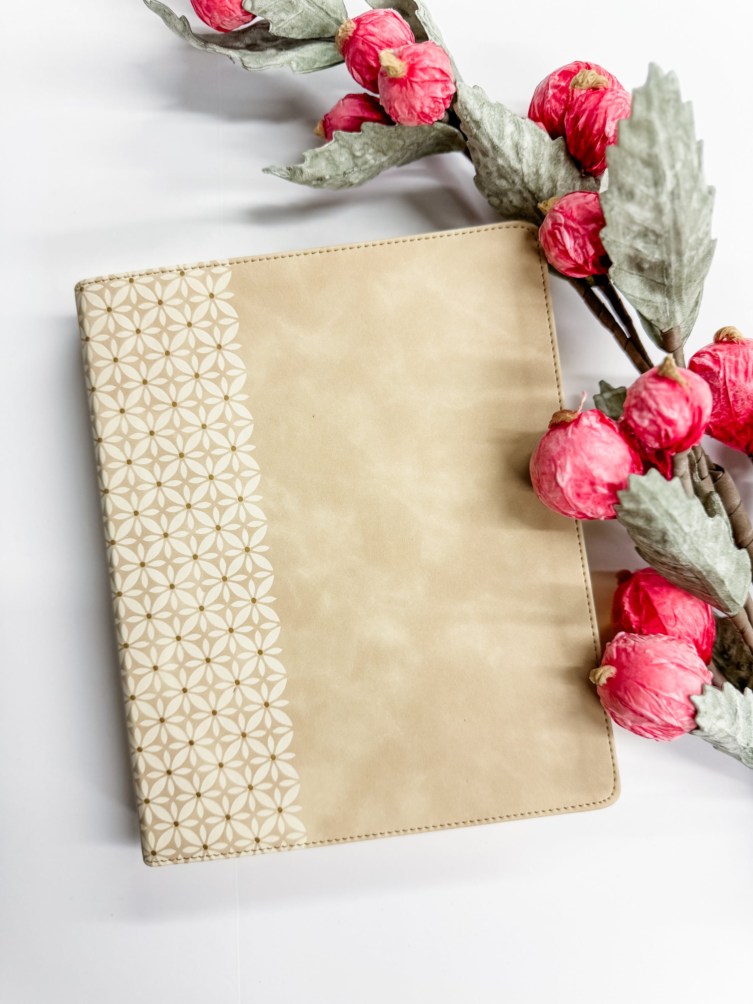 CSB Notetaking Bible | Expanded Reference Suedesoft