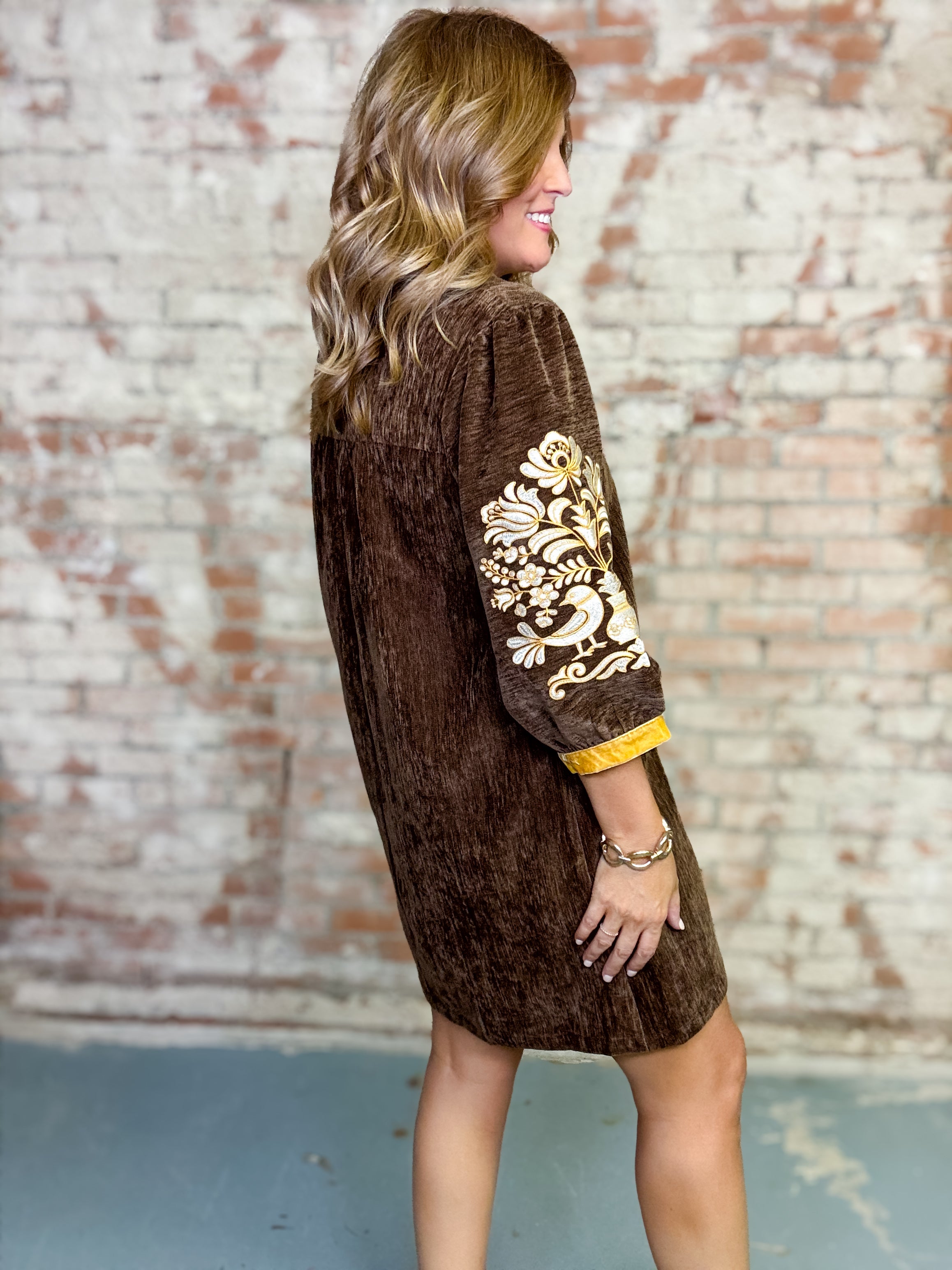 Alisha Velvet Dress