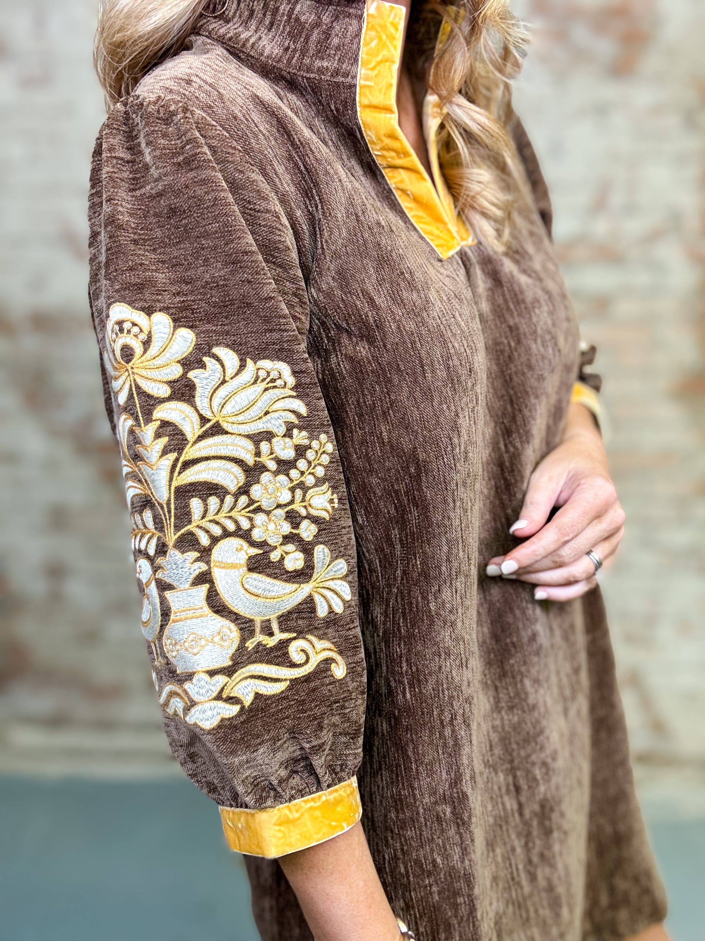 Alisha Velvet Dress