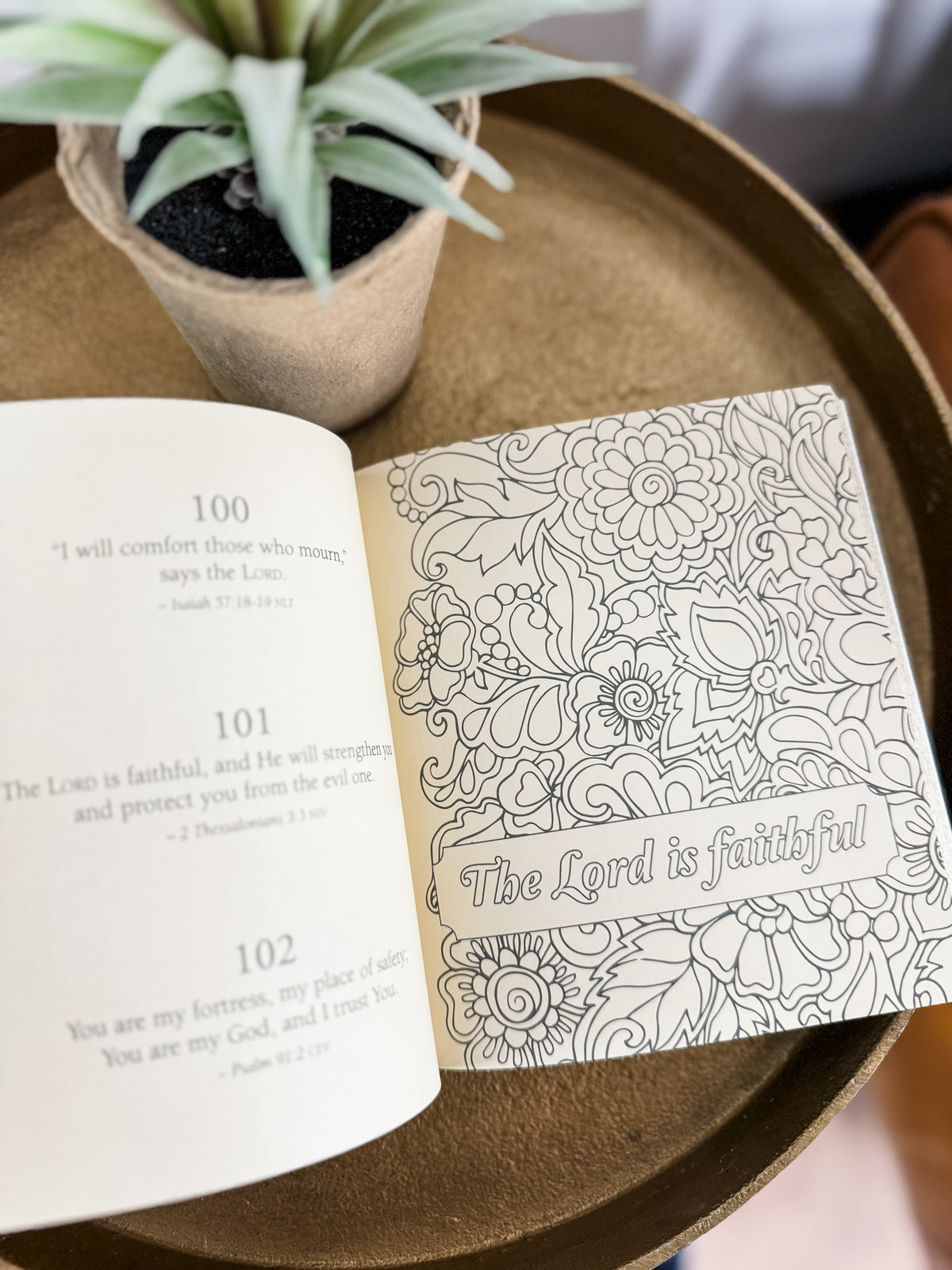 365 Promises from God's Word Coloring Devotional