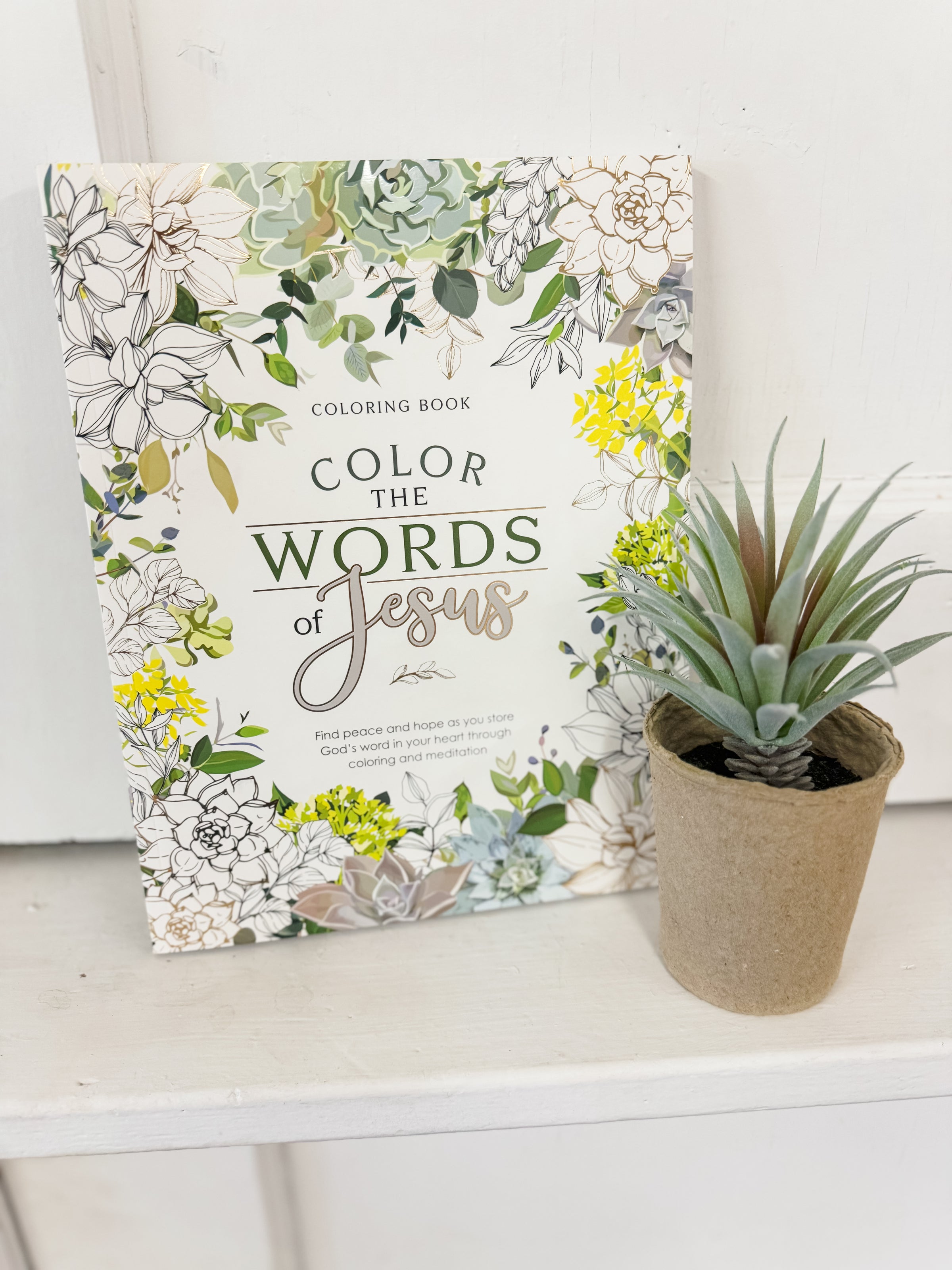 Color the Words of Jesus Coloring Book