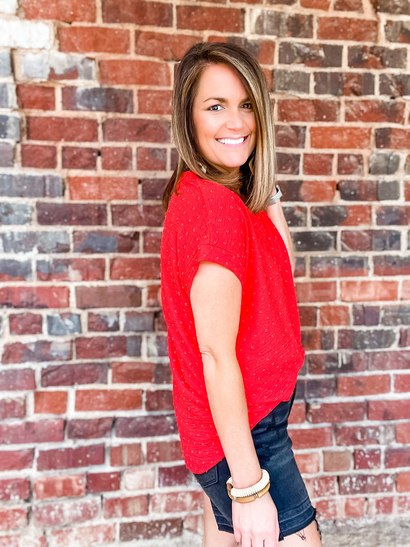 Swiss dot Pattern Top