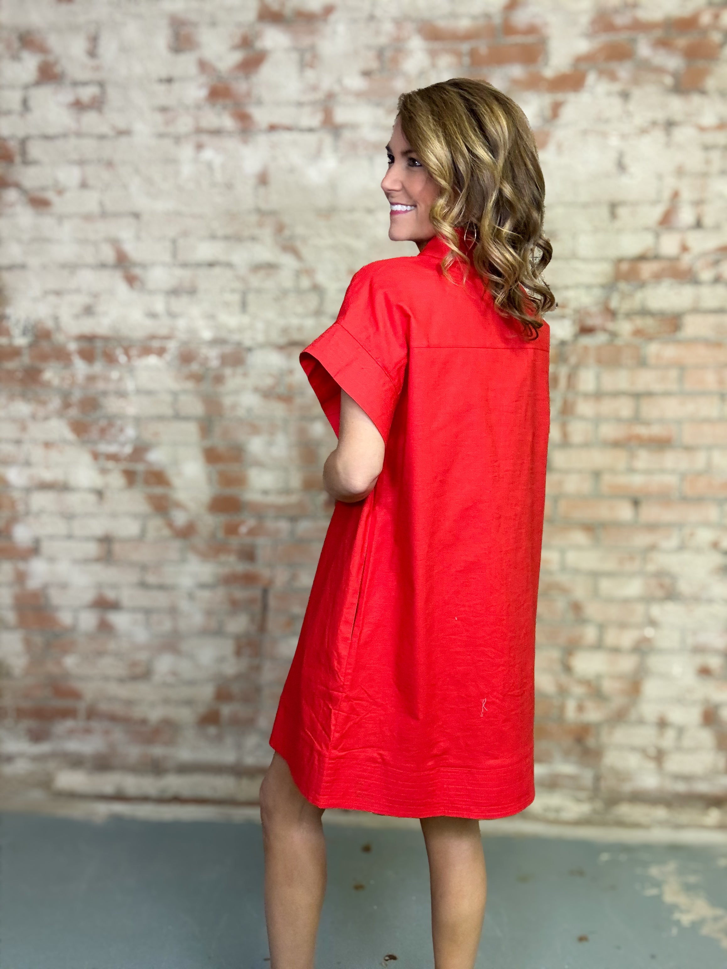 Graciela Solid Dress