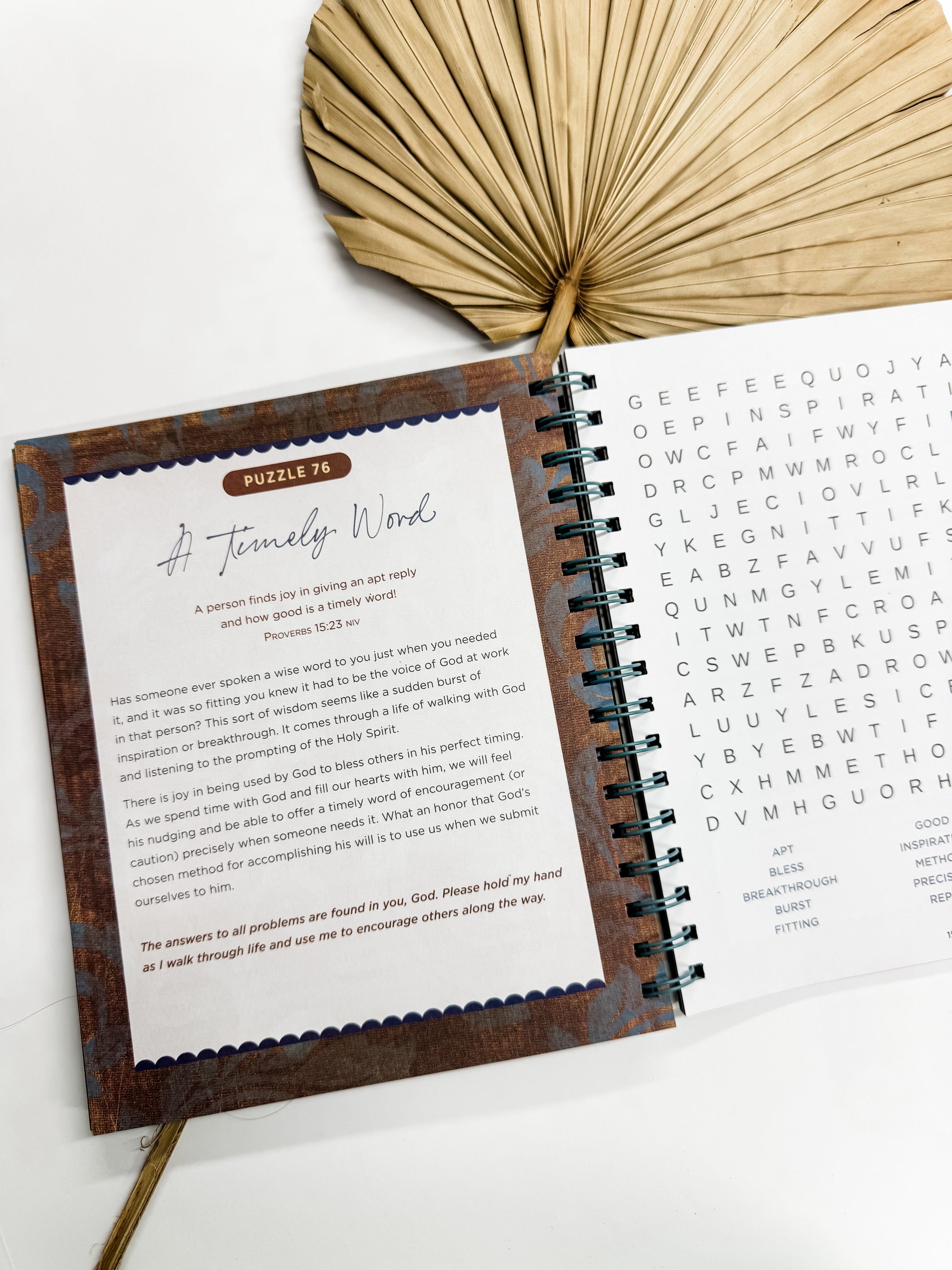 Proverbs | Bible Word Search Devotional