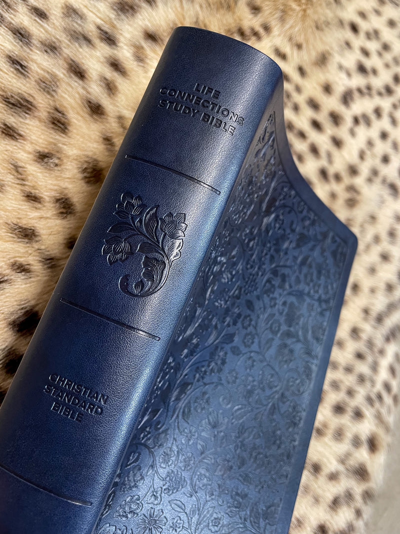 CSB Life Connections Study Bible