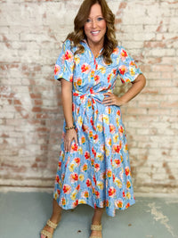 Alma Button Down Dress