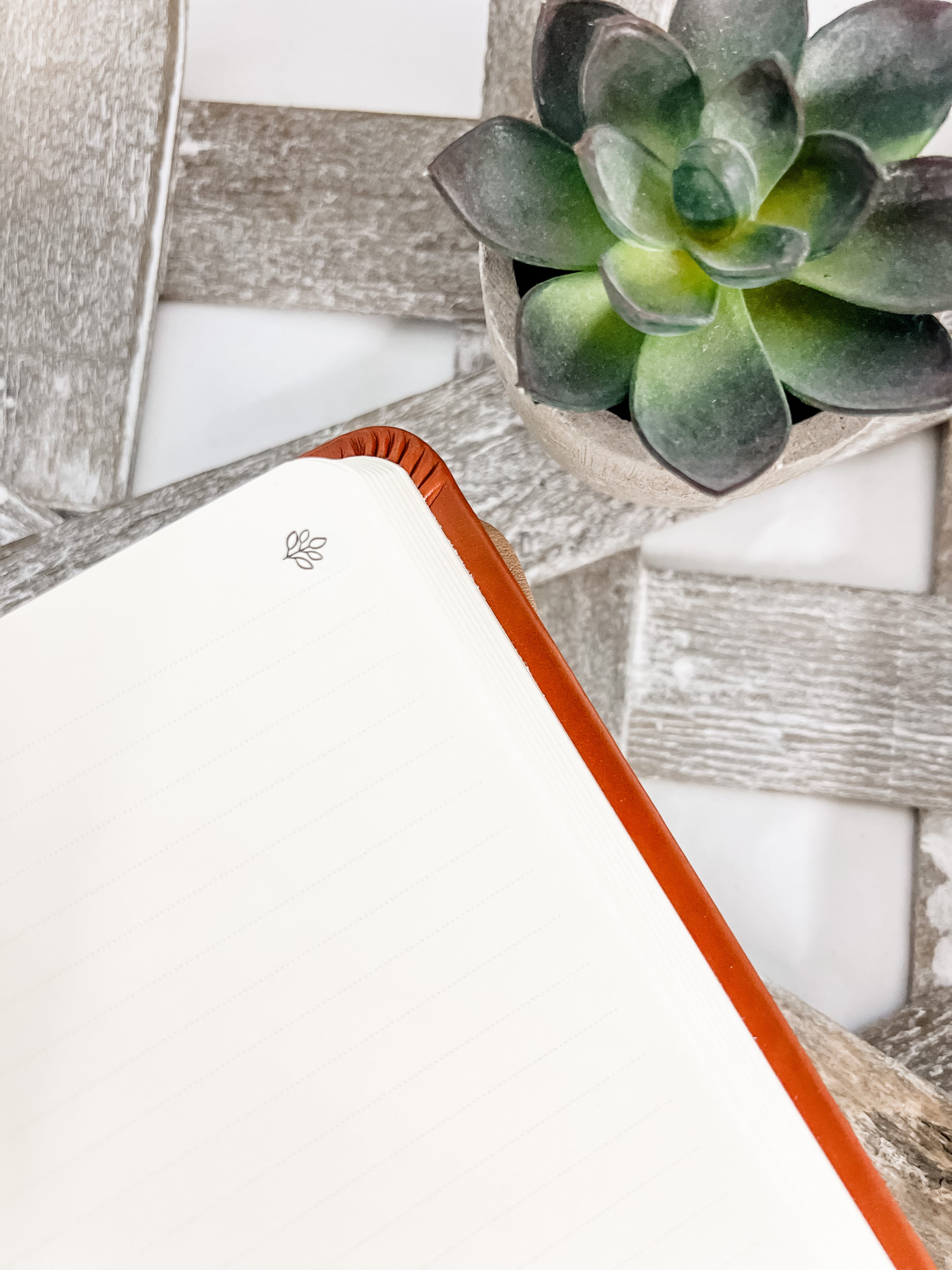 Sierra Theme Notebook