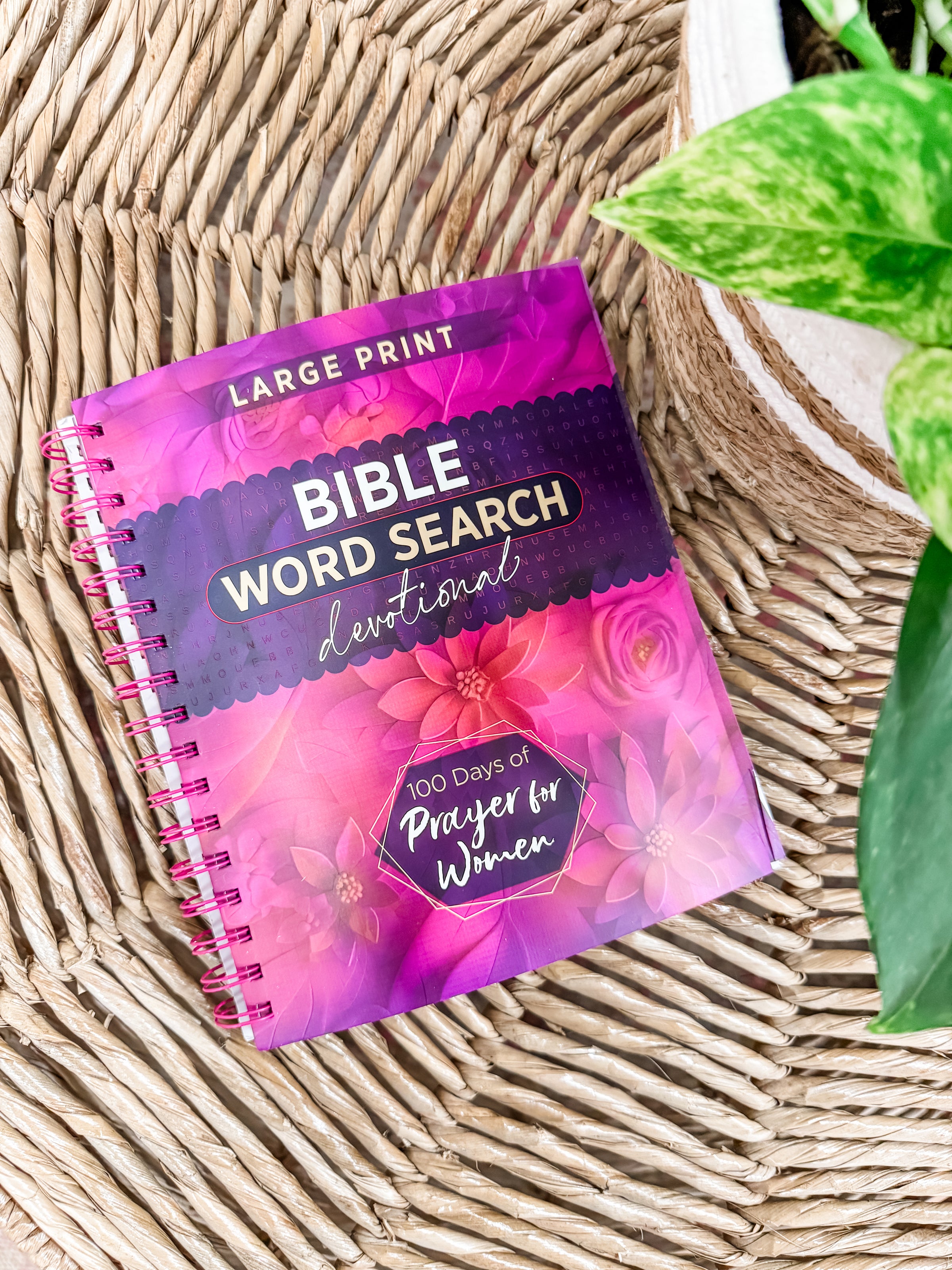 100 Days Of Prayers For Women
