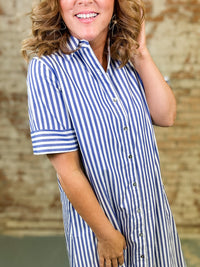 Briley Striped Button Dress