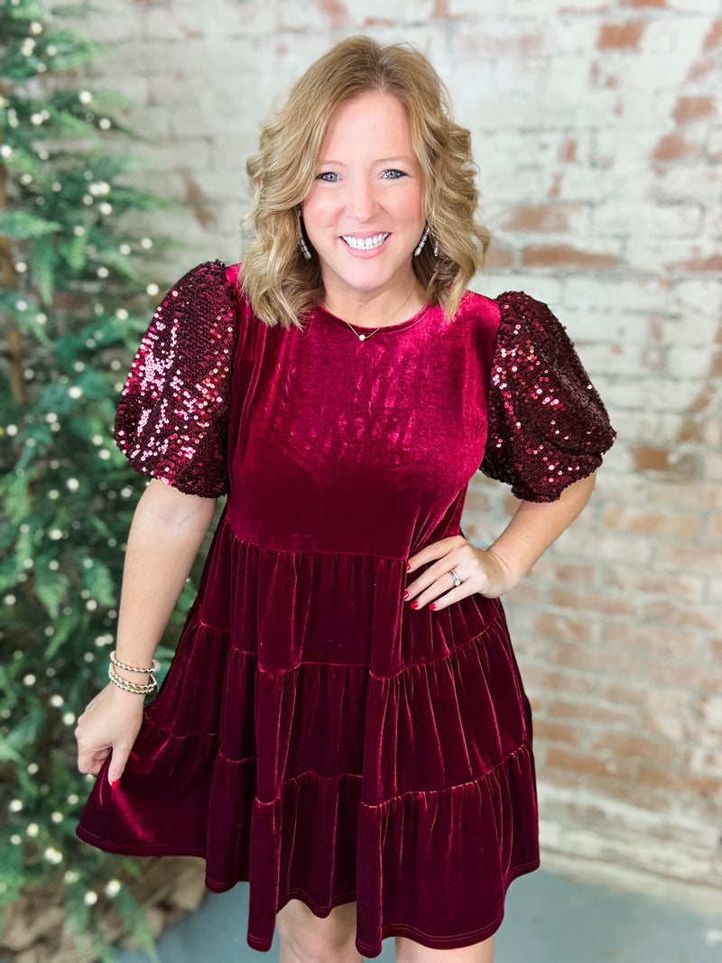 Kensley Sequin Sleeve Velvet Dress - FINAL SALE