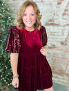 Kensley Sequin Sleeve Velvet Dress - FINAL SALE