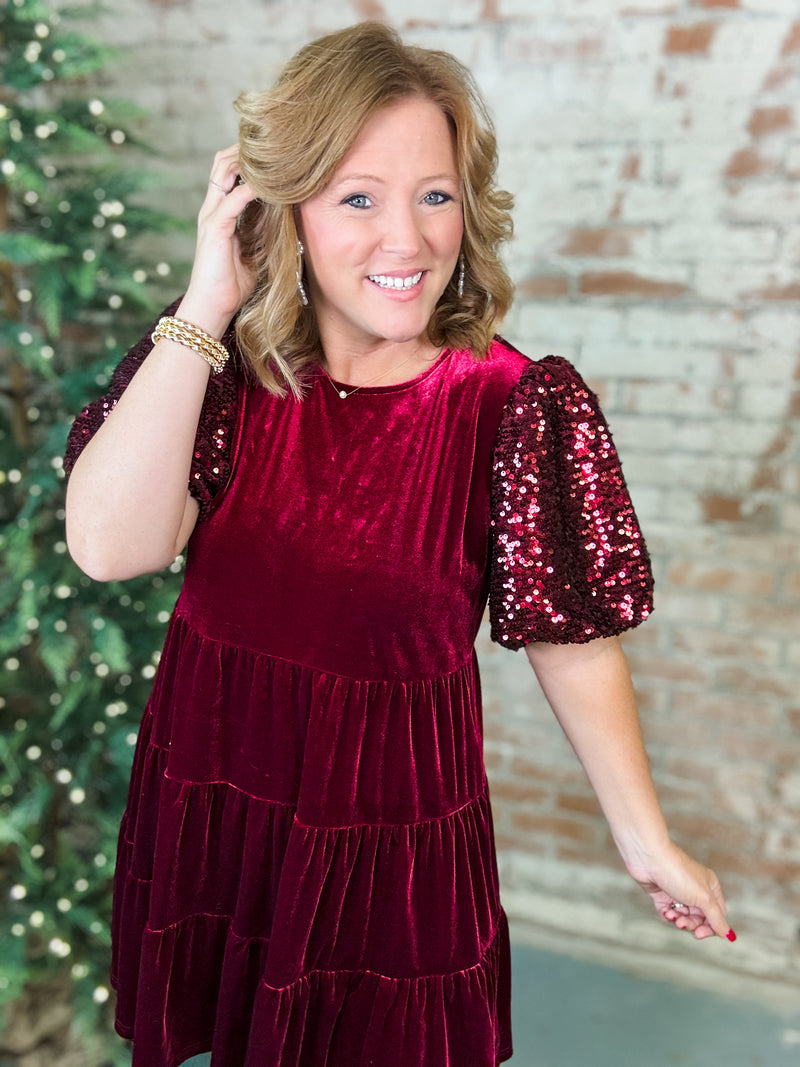 Kensley Sequin Sleeve Velvet Dress - FINAL SALE