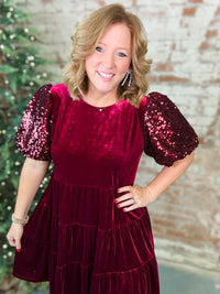 Kensley Sequin Sleeve Velvet Dress - FINAL SALE